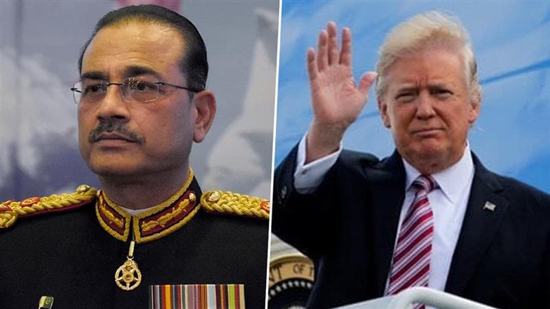 Asim Munir meets Donald Trump: ডোনাল্ড ট্রাম্প কেন পাকিস্তানের সেনাপ্রধান আসিম মুনিরের সঙ্গে দেখা করলেন?