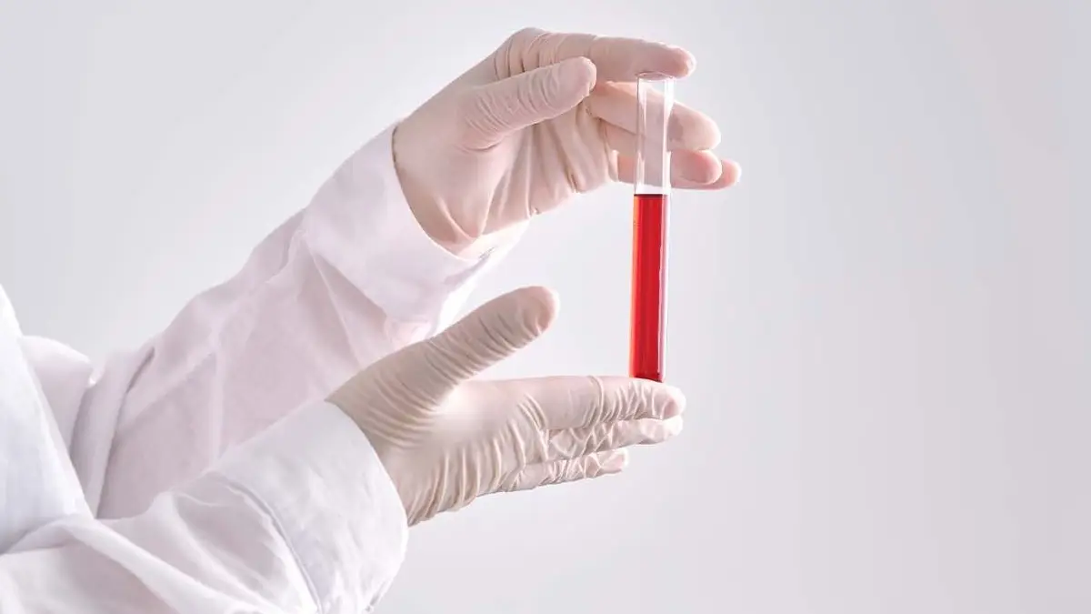 'Gowada Negative': বিশ্বজুড়ে রক্তের গ্রুপ নিয়ে গবেষণায় এক যুগান্তকারী আবিষ্কার; সন্ধান মিলল ৪৮তম রক্তের গ্রুপ গোয়াদা নেগেটিভ-এর, বাহক মাত্র একজন