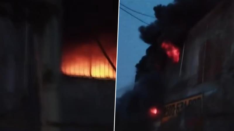 Delhi Factory In Fire: বাওয়ানার রঙ তৈরির কারখানায় আগুন, ঘটনাস্থলে দমকলের বাইশটি ইঞ্জিন (দেখুন ভিডিও)