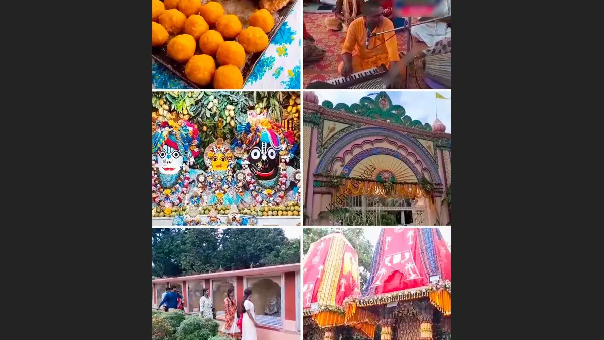 West Bengal Rath Yatra 2025: দিঘার নবনির্মিত মন্দিরের সঙ্গে বাংলার প্রাচীন মাহেশ, ইস্কন, গুপ্তিপাড়ার রথের খবর রইল এক ক্লিকে