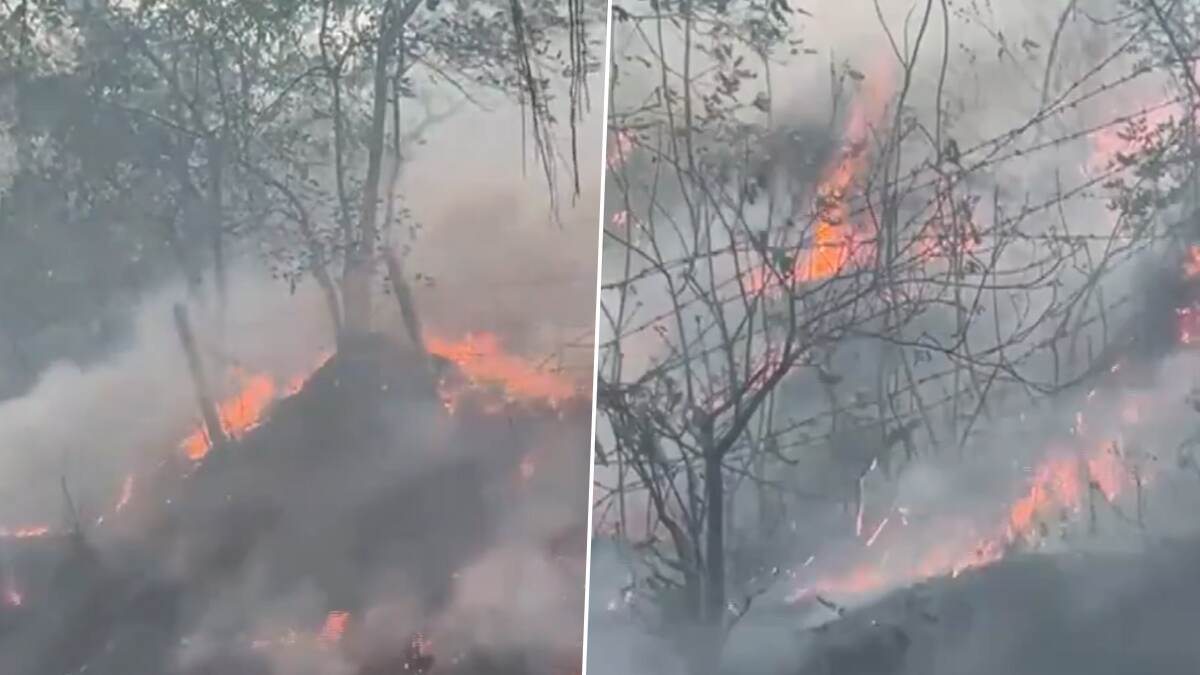 Reasi Fire: রিয়াসির জঙ্গলে ভয়াবহ অগ্নিকাণ্ড, ঘটনাস্থলে দমকল ও বনবিভাগে কর্মীরা, দেখুন ভিডিয়ো