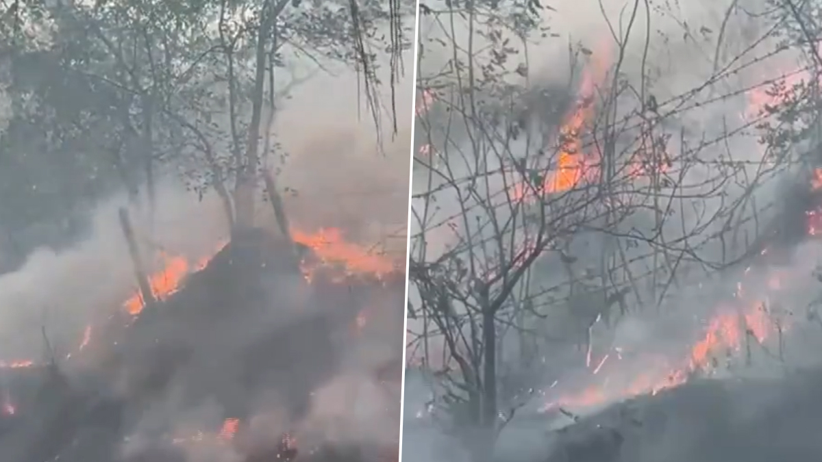 Reasi Fire: রিয়াসির জঙ্গলে ভয়াবহ অগ্নিকাণ্ড, ঘটনাস্থলে দমকল ও বনবিভাগে কর্মীরা, দেখুন ভিডিয়ো