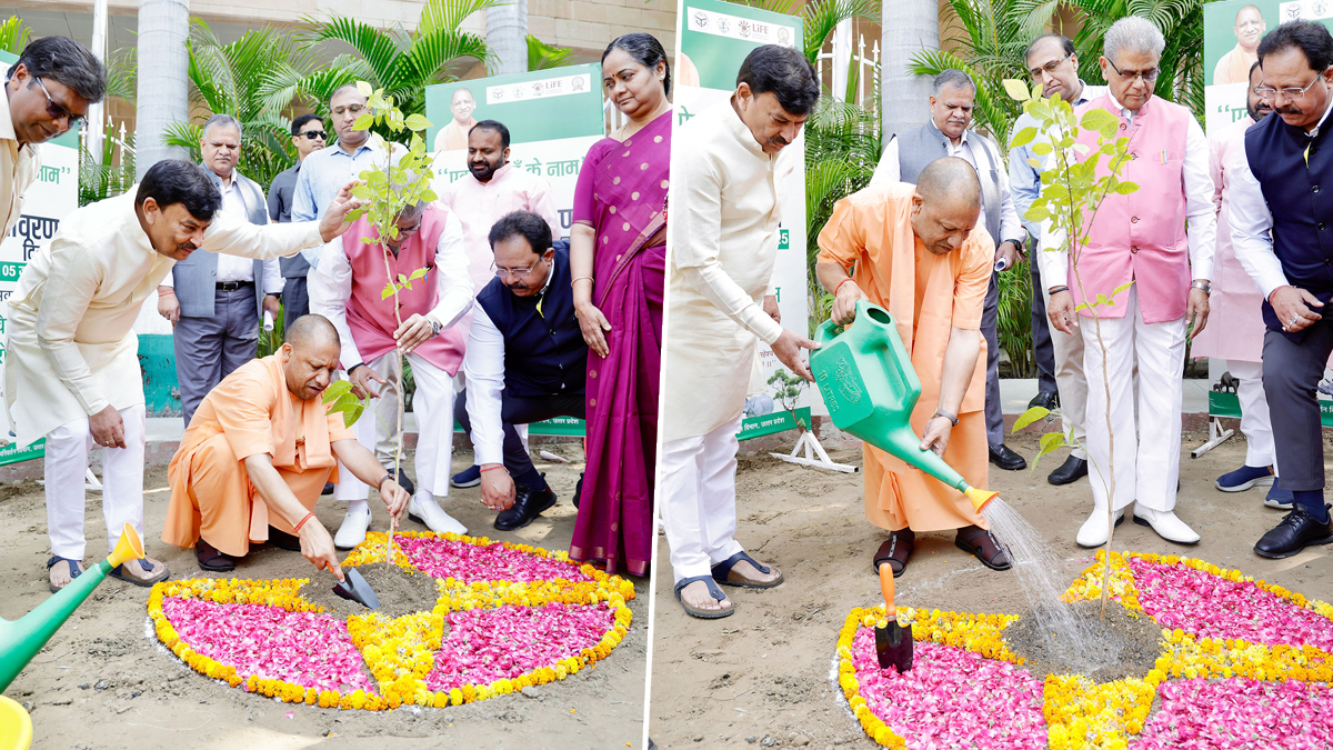 World Environment Day: পরিবেশ দিবসে চারাগাছ রোপণ করে 'এক পেড় মা কি নাম' অভিযানের সূচনা করলেন মুখ্যমন্ত্রী যোগী আদিত্যনাথ