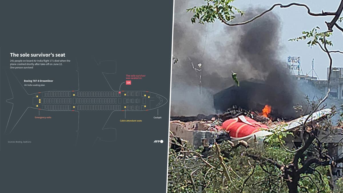 Ahmedabad Plane Crash: অবিশ্বাস্যভাবে বেঁচে যাওয়া সেই যাত্রী বিমানের ঠিক কোন জায়গায় বসেছিলেন