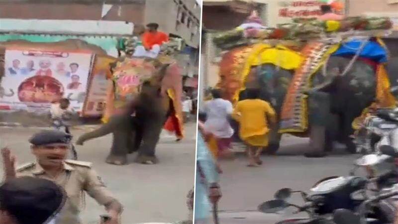 Rath Yatra 2025: রথযাত্রায় দুর্ঘটনা, নিয়ন্ত্রণ হারিয়ে হাতিদের তাণ্ডব, ভয়ে পালাচ্ছে মানুষ; দেখুন ভাইরাল ভিডিয়ো