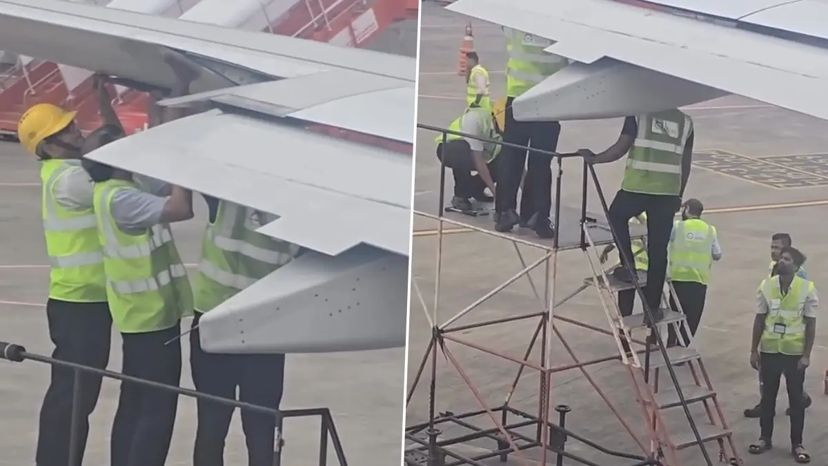 Air India Flights: ডানায় বাসা বেঁধেছে পাখি, যাত্রা শুরুতে বিলম্ব এয়ার ইন্ডিয়ার বিমানের