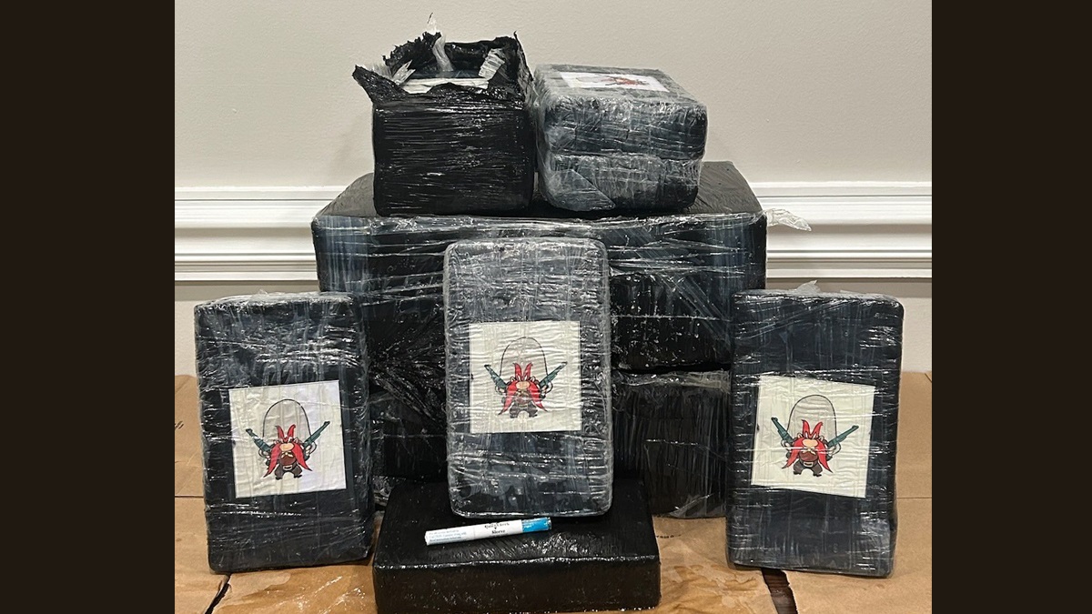 Cocaine-Filled Boxes Washes Ashore: সমুদ্রের প্রত্যেক ঢেউয়ের বাড়িতে বাড়ছে রহস্য, ভেসে আসছে কালো কালো বাক্স, দেখুন ভিডিয়ো