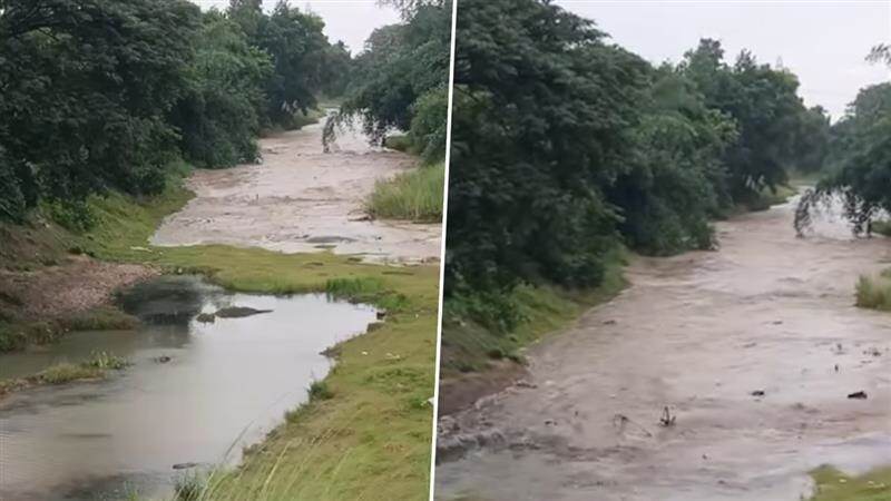 Flash Flood Video: হঠাৎ বন্যায় হাবুডুবু খাচ্ছে শুকনো নদী, ভাইরাল ভিডিয়ো নিয়ে হইচই