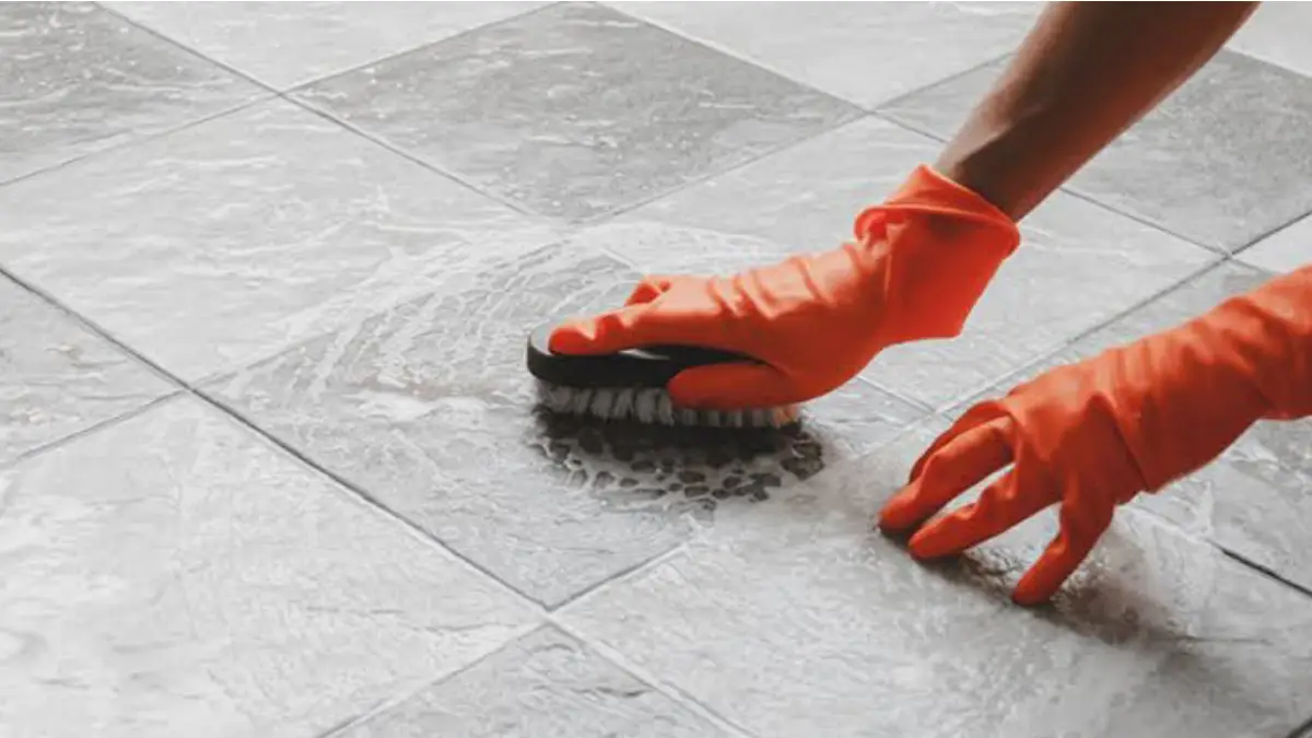 Remove spot from tiles:  ঘরের টাইলসে দাগ ছোপ? এই পদ্ধতিতে নিমিষে দূর হবে দাগ। জেনে নিন টিপস