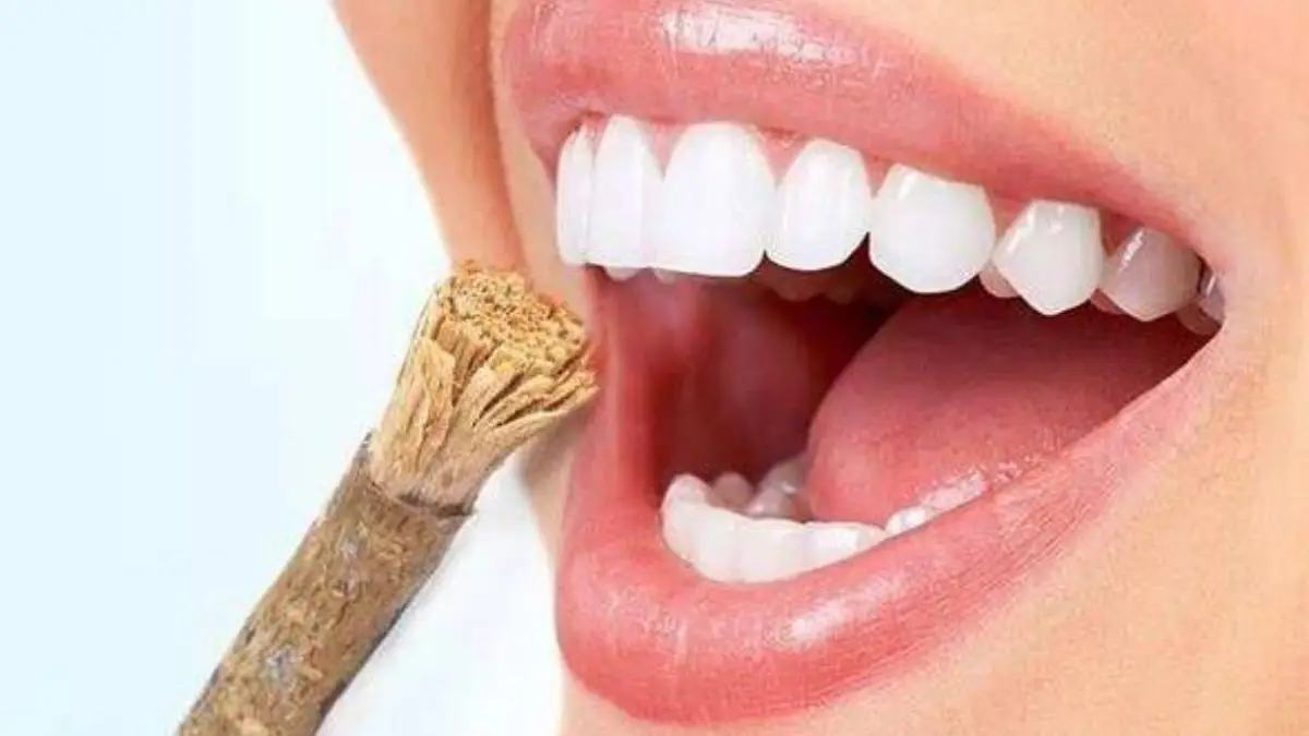 Neem Health Care: নিম ডালে দাঁত মাজেন? জেনে নিন আদেও উপকার আছে কিনা