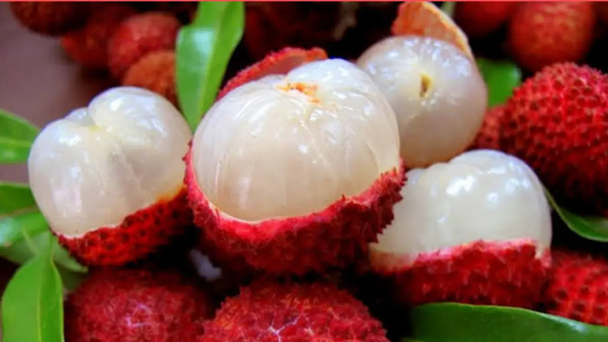 Lychee Benefits for skin: লিচু ত্বকের জন্য দারুন উপকারি। জেনে নিন ত্বককে উজ্জ্বল করতে লিচু কতটা কাজ দেয়