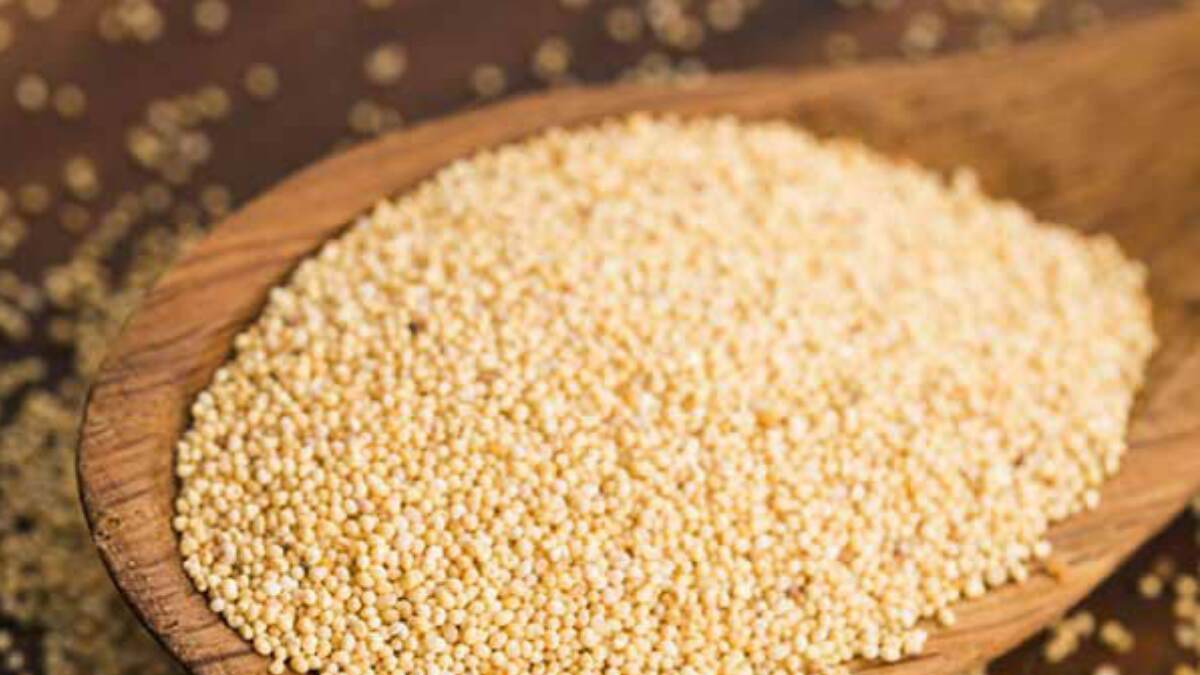 Poppy Seeds Benefits:  দামের জন্য খাচ্ছেন না? তবে পোস্তর উপকারিতা জানলে খাওয়া শুরু করে দেবেন
