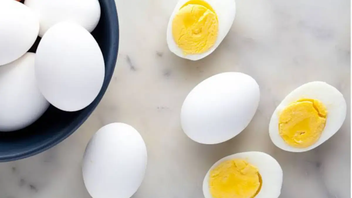 Eggs Side Effects: এই গ্রীষ্মে বেশি ডিম খাচ্ছেন ? জানেন কত বড় বিপদ হতে পারে? জানুন বিস্তারিত