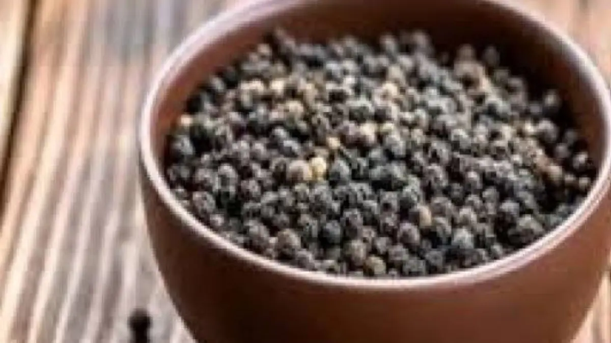 Black Pepper Benefits: ‌গোলমরিচের অনেক গুন। এর উপকারিতা জানলে অবাক হবেন
