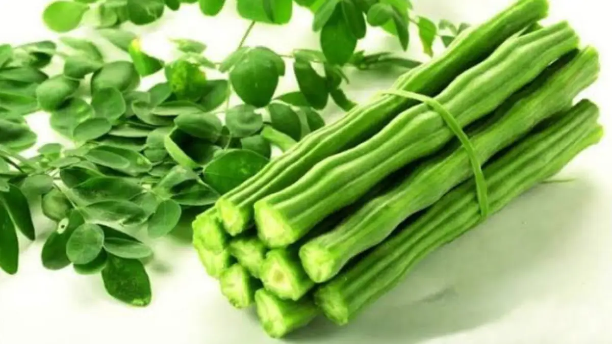 Drumstick benefits: সজনে ডাটায় অনেক সমস্যার সমাধান। দেখুন সজনে ডাটার উপকারিতা