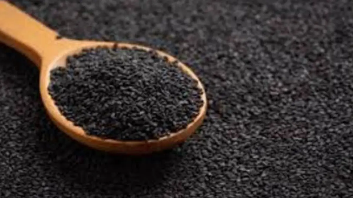 Nigella seeds benefits: এই ছোট্ট দানার বিরাট গুণ। বশে থাকবে  উচ্চ রক্তচাপ থেকে কোলেস্টেরল। দেখুন বিস্তারিত