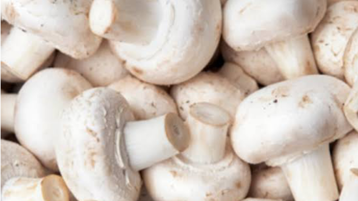 Benefits Of Mushroom: বয়স থমকে যাবে। জেনে নিন মাশরুমের উপকারিতা