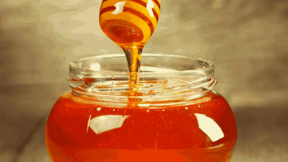 Honey Health Benefits: উজ্জ্বল ত্বক থেকে রোগ থেকে রক্ষা। মধুর উপকারিতা অনেক। জেনে নিন মধু কীভাবে খেলে বেশি উপকার পাবেন