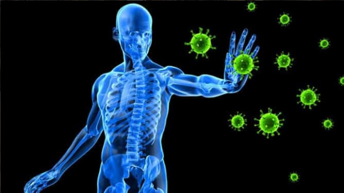 How to Boost Immune System: শরীরের রোগ প্রতিরোধ ক্ষমতা বাড়বে। মেনে চলুন এই নিয়ম