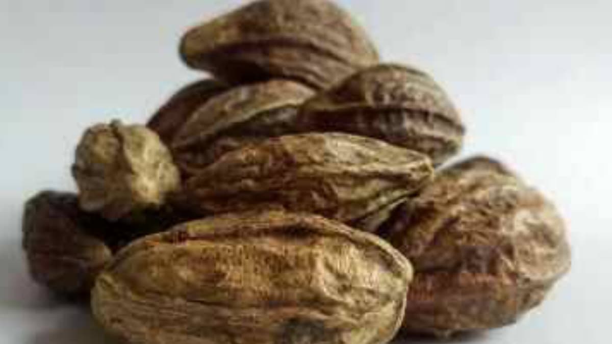 Black Myrobalan benefits:  হরিতকির অনেক উপকার। হজম ক্ষমতা বাড়িয়ে দেয়, চুল ও ত্বকের জন্য সেরা