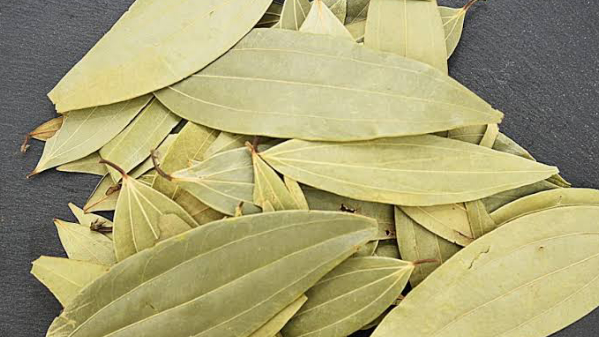 Bay Leaf Benefits: হজমের সমস্যা কিংবা ডায়াবেটিস? সব সমস্যা মেটাবে তেজপাতা। জেনে নিন তেজপাতার উপকারিতা