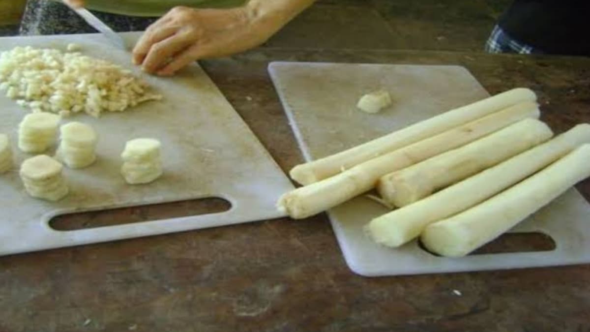 Health benefits of Banana Stem: কলা গাছের থোড় খেয়েছেন। এর উপকারিতা জানলে রোজ খেতে চাইবেন