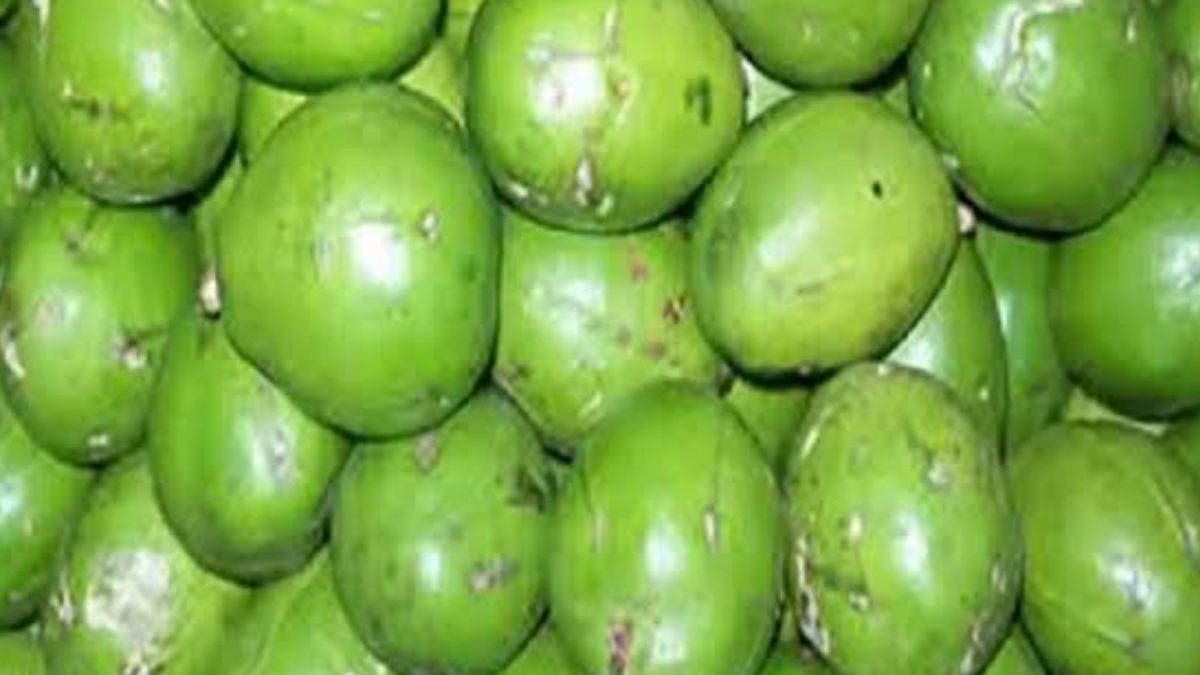 Health Benefits of Hog Plum: দাম কম বলে অবহেলা করবেন না‌। আমড়ার উপকারিতা জানলে অবাক হবেন