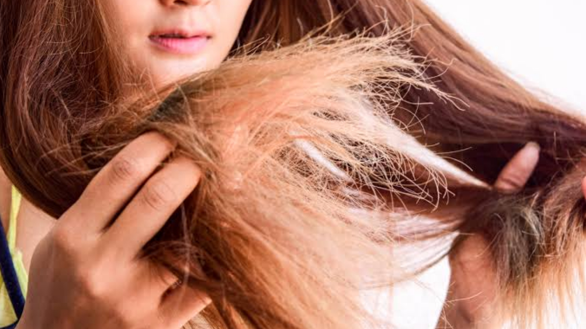 Dry hair shampoo: চুল রুক্ষ? কীভাবে ঠিক করবেন? জেনে নিন কি শ্যাম্পু ব্যবহার করবেন