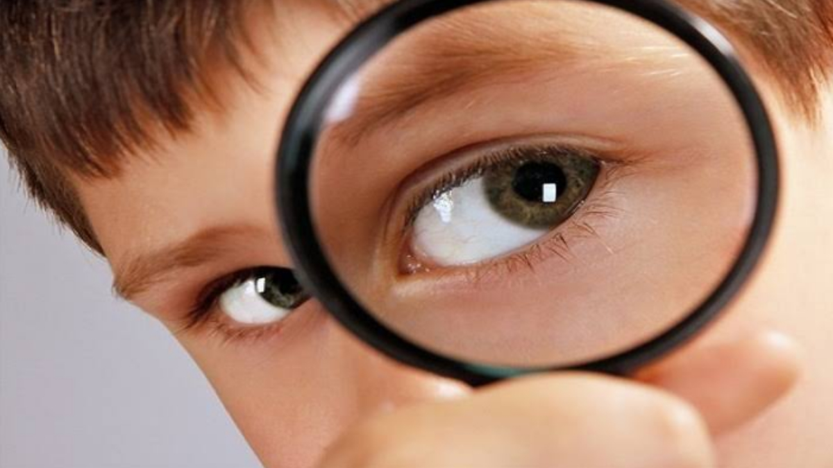 Eyesight Increasing Foods: চোখের জ্যোতি চান? নিয়মিত খান এই খাবার। নজর হবে তীক্ষ্ণ