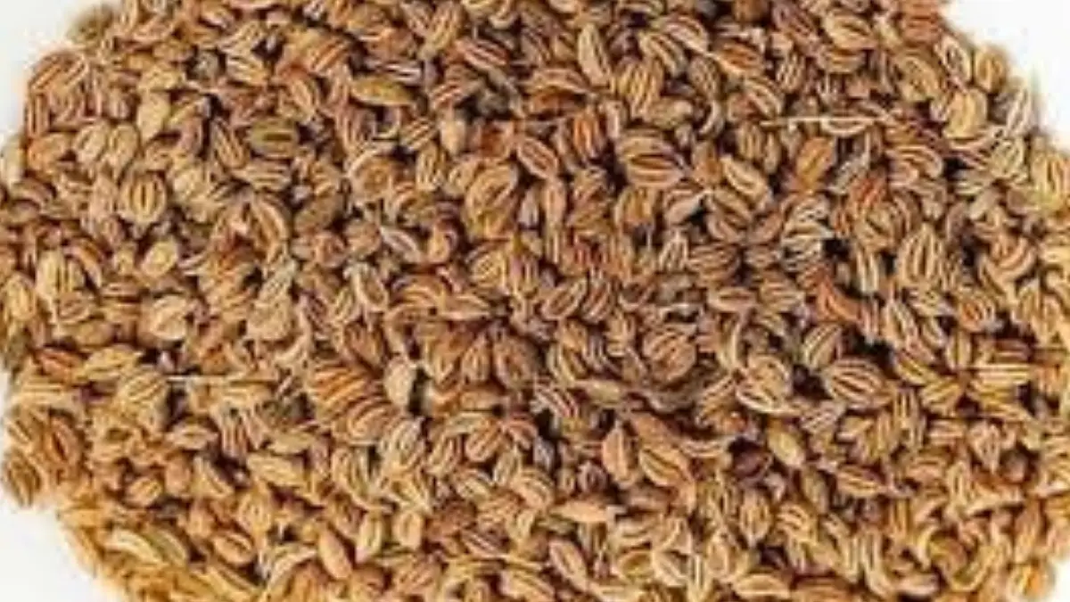 Ajwain Benefits:  শরীরের অনেক কঠিন সমস্যায় মিটিয়ে দেবে। খালি পেটে জোয়ানের জল খান