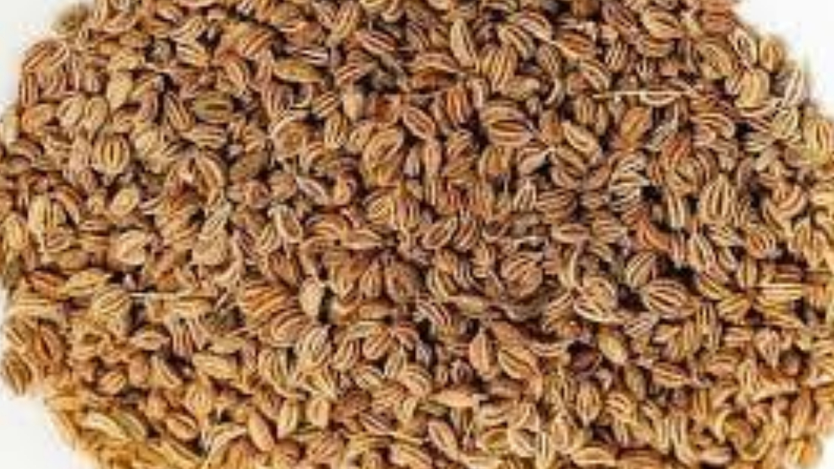Ajwain Benefits:  শরীরের অনেক কঠিন সমস্যায় মিটিয়ে দেবে। খালি পেটে জোয়ানের জল খান