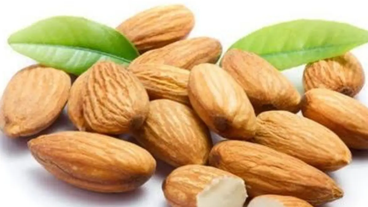 Almond Side Effects: সমস্যা হতে পারে কিডনির। ভুলেও আমন্ড বেশি খাবেন না