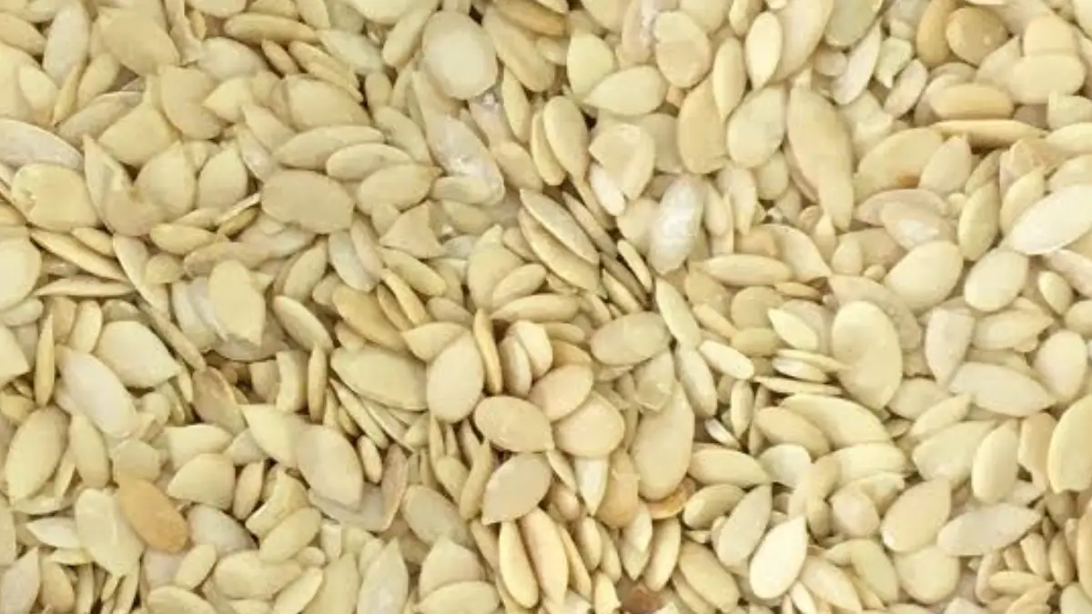 Char Magaz Benefits:চারমগজ রান্নায় ব্যবহার হয়। কিন্তু জানেন কি চারমগজের অনেক উপকারিতা রয়েছে। দেখুন বিস্তারিত