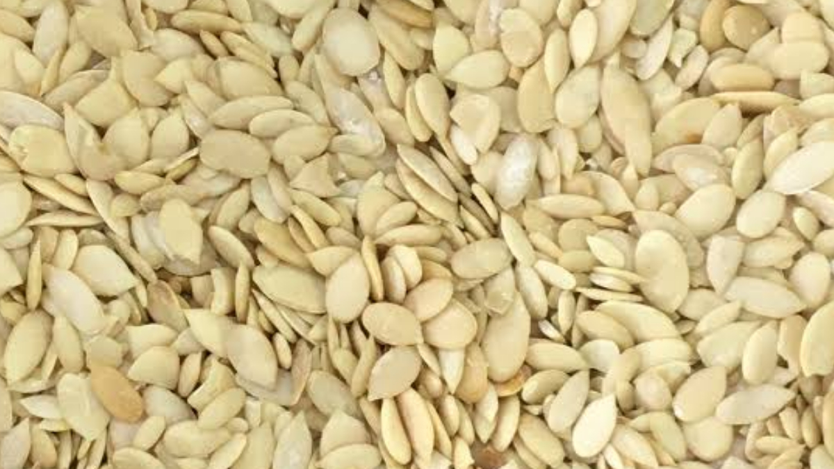 Char Magaz Benefits:চারমগজ রান্নায় ব্যবহার হয়। কিন্তু জানেন কি চারমগজের অনেক উপকারিতা রয়েছে। দেখুন বিস্তারিত