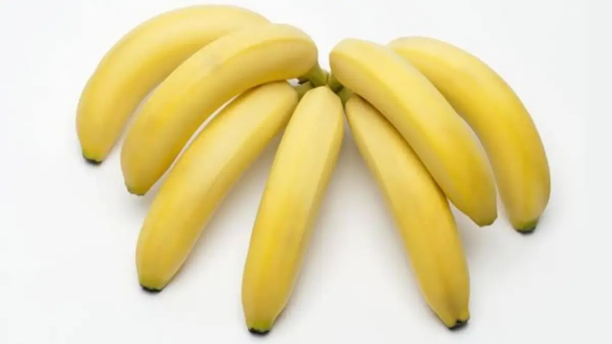 Banana Eating Tips: কলা কখন খাচ্ছেন? সময়ে না খেলে ক্ষতি হতে পারে। জেনে নিন কোন সময়ে কলা খাওয়া উচিত