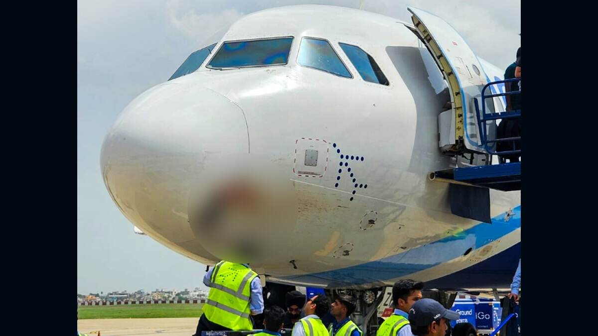 IndiGo Flight Hits By Vulture: যাত্রীভরা ইন্ডিগোর বিমানের শকুনের ধাক্কা, উড়ানের সামনের অংশ ভেঙে 'রক্তারক্তি' পরিস্থিতি দেখুন