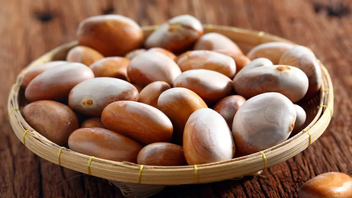 Jackfruit Seeds For Health: কাঁঠালের বীজ ফেলবেন না। এর উপকার জানলে অবাক হবেন