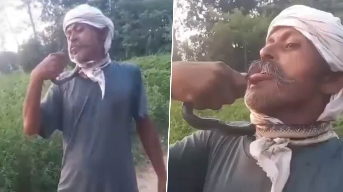 Moradabad Shocker: রিল বানাতে গিয়ে বিপত্তি, সাপের কামড় খেয়ে মৃত্যুর সঙ্গে লড়াই কৃষকের