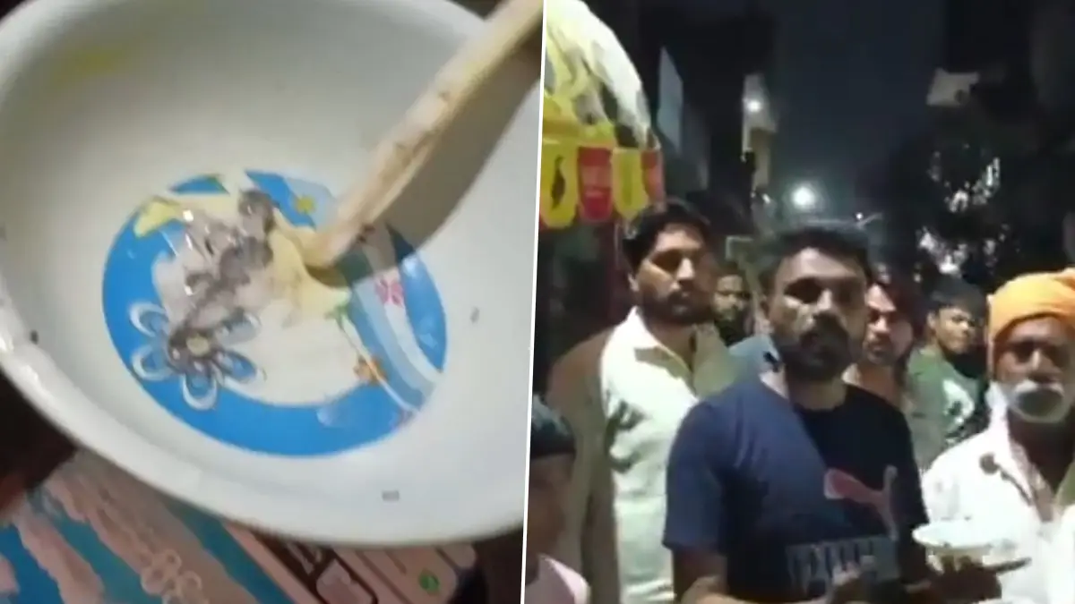 Lizard In Ice Cream: সাধের আইসক্রিমে কামড় বসাতেই মুখে পড়ল টিকটিকি, হাসপাতালে ৯ বছরের কিশোর