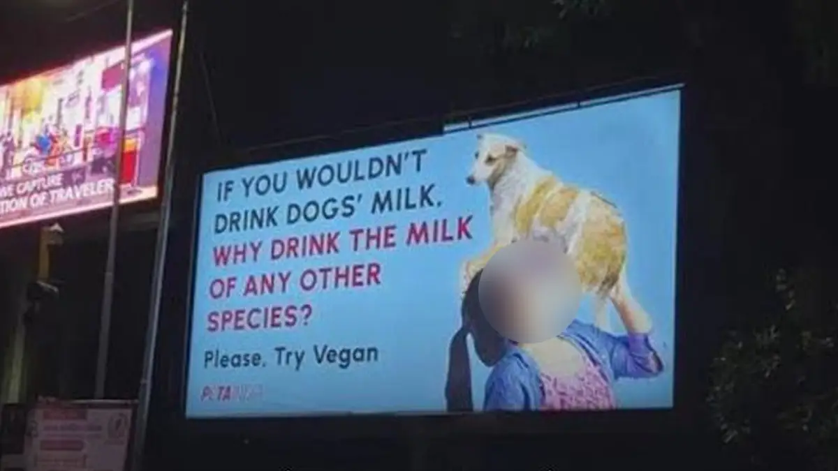 Viral Advertisement: কুকুরের দুধ পান করছেন মহিলা, বিজ্ঞাপন ভাইরাল হতেই চটল নেটপাড়া