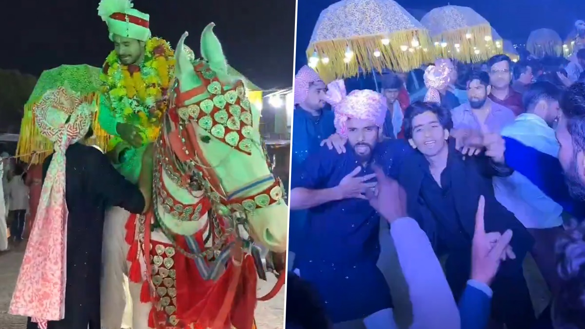 Viral Video Of Raja Raghuwanshi: সোনমকে বিয়ের আগে ঘোড়ায় সওয়ার রাজা, খুশিতে নাচতে নাচতে চলেন মণ্ডপে, ভাইরাল ভিডিয়ো