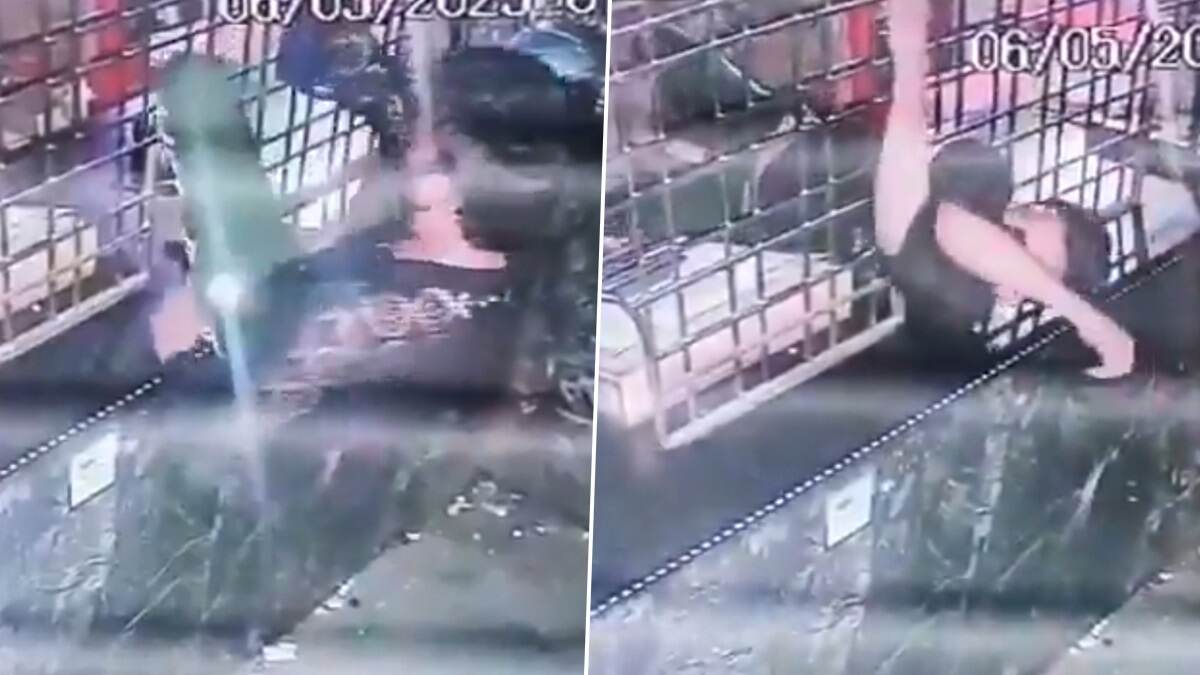Viral Video: মদের দোকানের সামনের ছোট্ট গ্রিল গলে ঢুকল চোর, দেখুন সেই ভাইরাল ভিডিয়ো
