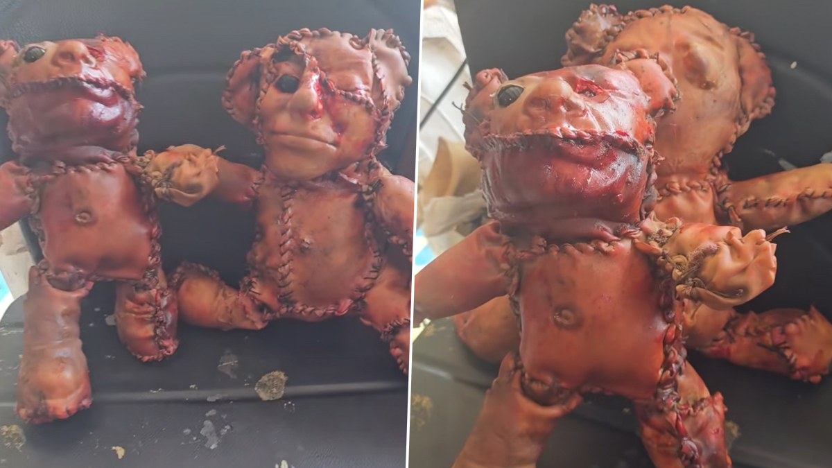 Human Skin Teddy Bear: মানুষের চামড়া দিয়ে তৈরি হয়েছে টেডি বিয়ার! বিকৃত চেহারার এই পুতুল ঘিরে রহস্য