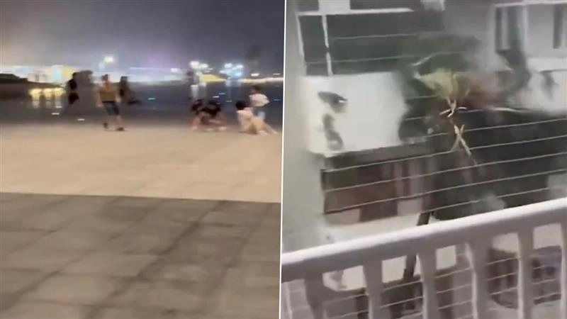 Typhoon Wipha: হংকংয়ে টাইফুন উইফার তাণ্ডব, উড়ে যাচ্ছে মানুষজনও, ধ্বংসযজ্ঞের ফলে সর্বোচ্চ সতর্কতা জারি