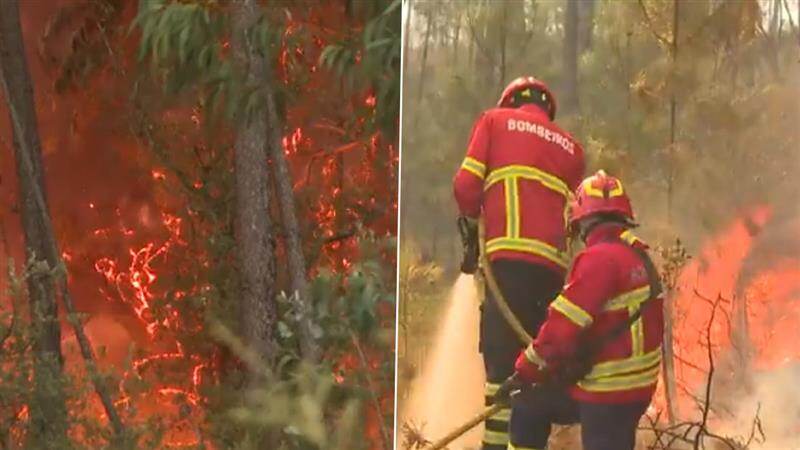 Portugal Wildfire: পর্তুগালে দাবানল নিয়ন্ত্রণে তীব্র লড়াই চলছে, দেশজুড়ে সতর্কতা জারি