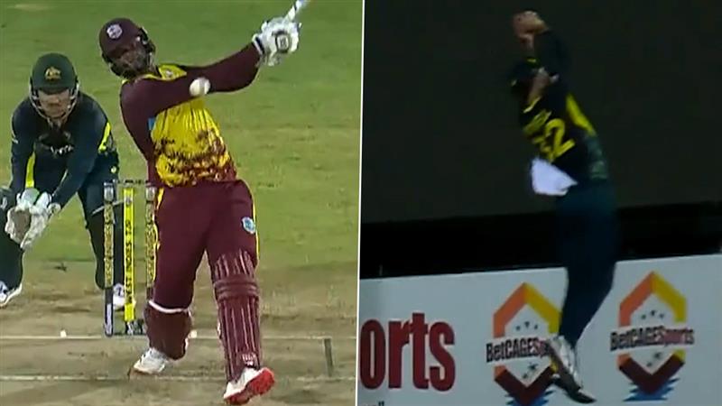 Glenn Maxwell Catch Video: বাউন্ডারিতে দুর্দান্ত রিলে ক্যাচ গ্লেন ম্যাক্সওয়েলের, হতবাক নেটপাড়া; দেখুন ভিডিও
