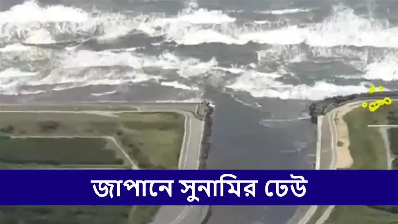 Tsunami Hits Japan: ৩০০ সেমির বিশাল ঢেউয়ের সুনামি আছড়ে পড়ল জাপানের ইশানোমাকিতে, সমুদ্র সৈকতে ভেসে আসছে একের পর এক তিমি, দেখুন ভিডিও