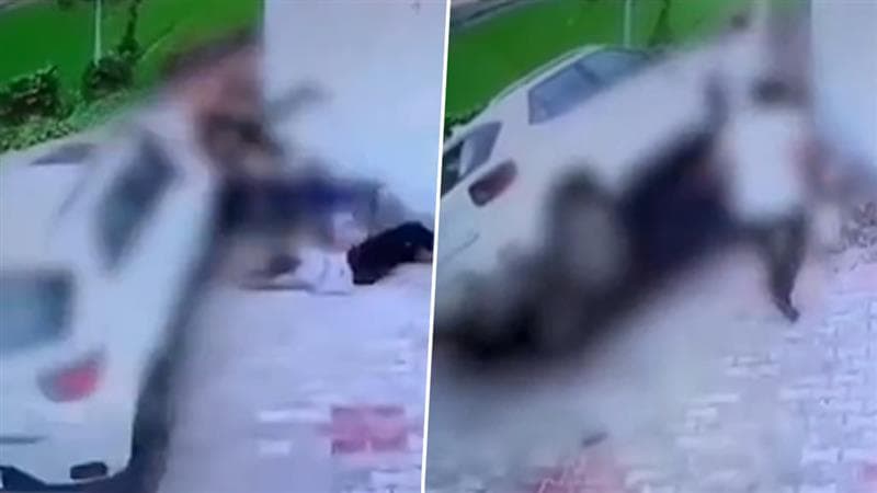 Punjab Viral Video: সম্পত্তির নিয়ে বিরোধ, বড় ভাইয়ের পরিবারকে হত্যার চেষ্টা ছোট ভাইয়ের; ঘটনা ধরা পড়ল সিসিটিভিতে (দেখুন ভিডিও)