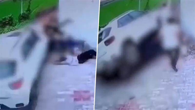Punjab Viral Video: সম্পত্তির নিয়ে বিরোধ, বড় ভাইয়ের পরিবারকে হত্যার চেষ্টা ছোট ভাইয়ের; ঘটনা ধরা পড়ল সিসিটিভিতে (দেখুন ভিডিও)