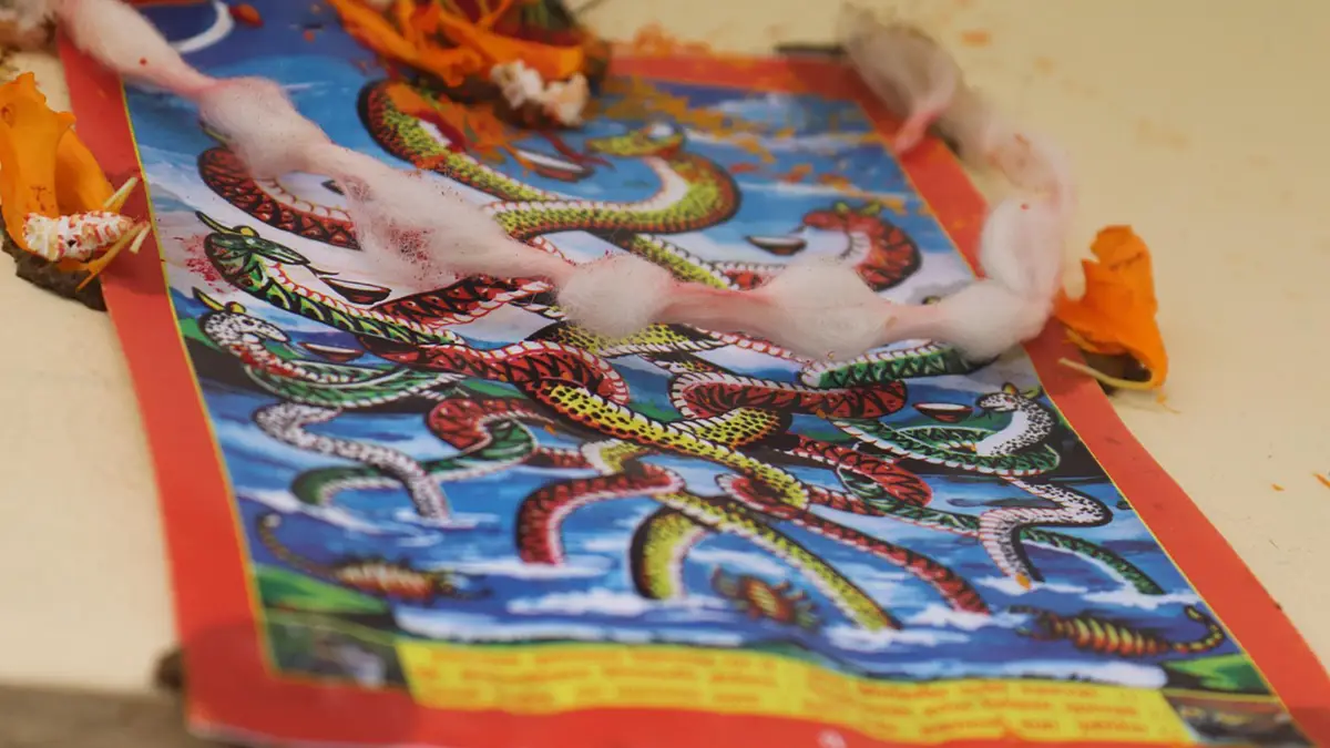 Nag Panchami 2025: নাগপঞ্চমীর দিন রান্নায় লোহার পাত্র কিংবা চাটুর ব্যবহার একদম নয়, অজান্তেই এই ভুল করলে মহাবিপদ, কেন জানেন?